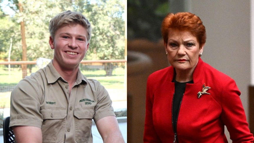 A composite image of Robert Irwin on the left sitting on a chair and smiling and Pauline Hanson in a red blouse grimacing