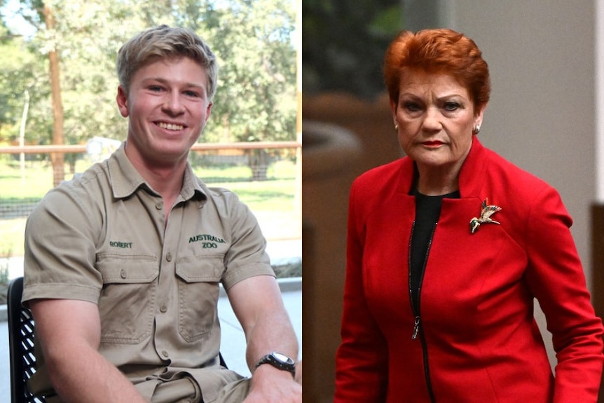 A composite image of Robert Irwin on the left sitting on a chair and smiling and Pauline Hanson in a red blouse grimacing