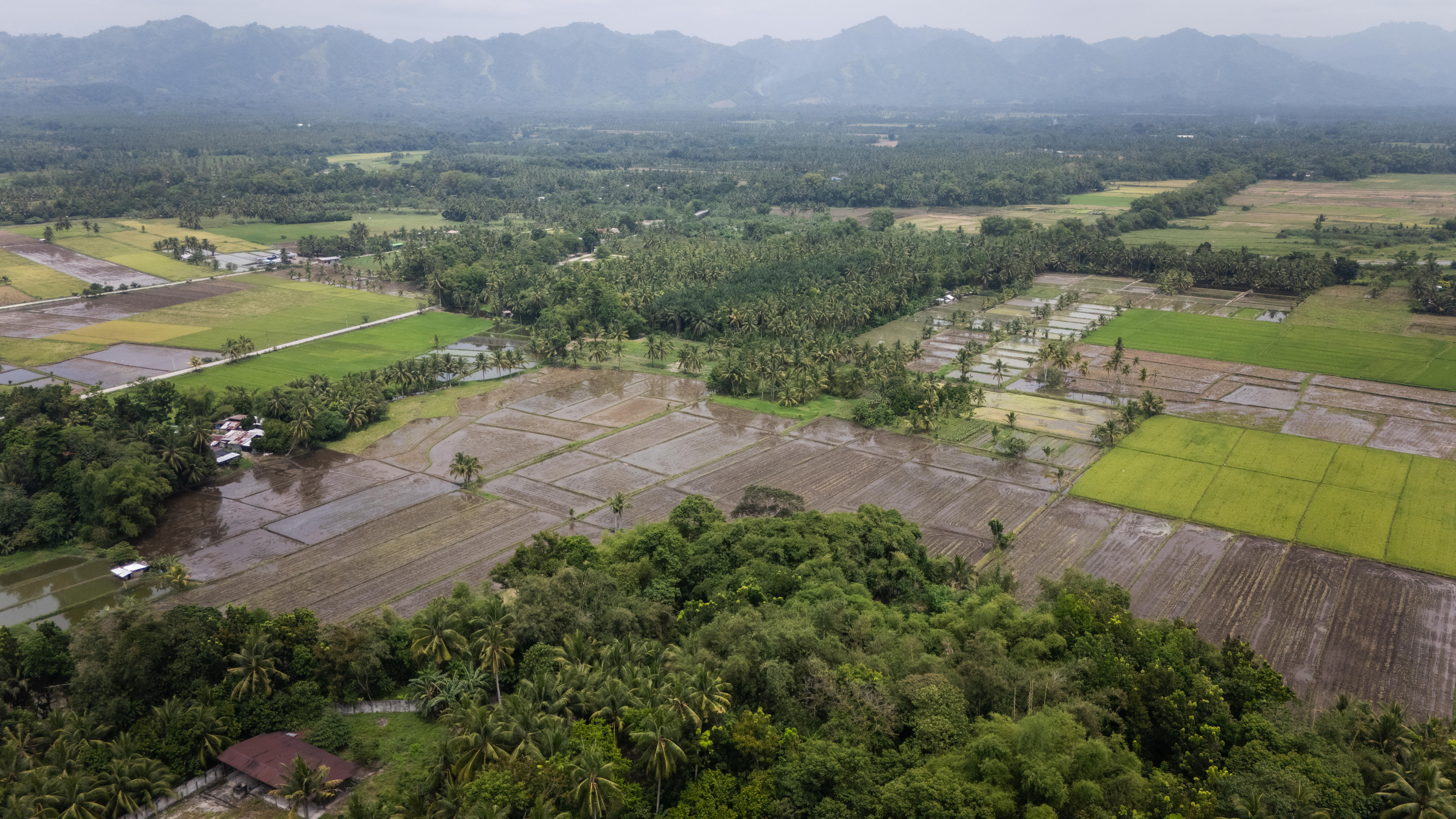 A bird's eye view of lush green farmland and flooded paddocks on a rainy day.