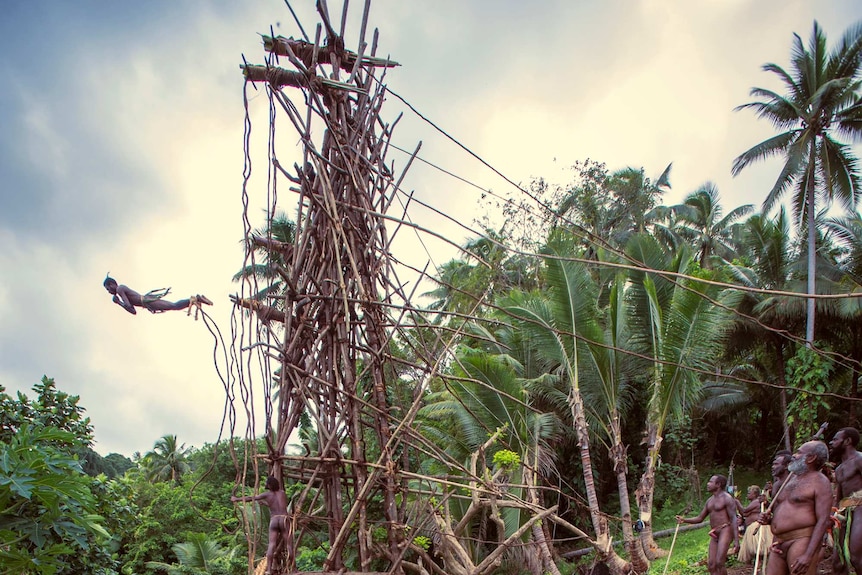 Vanuatu bungee jumping