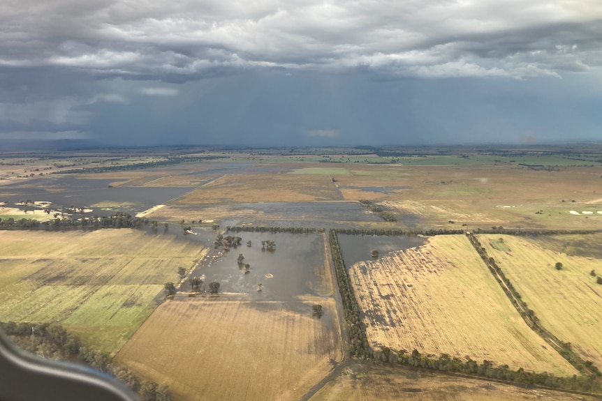 A photo taken from a helicopter showing flooding across paddocks.