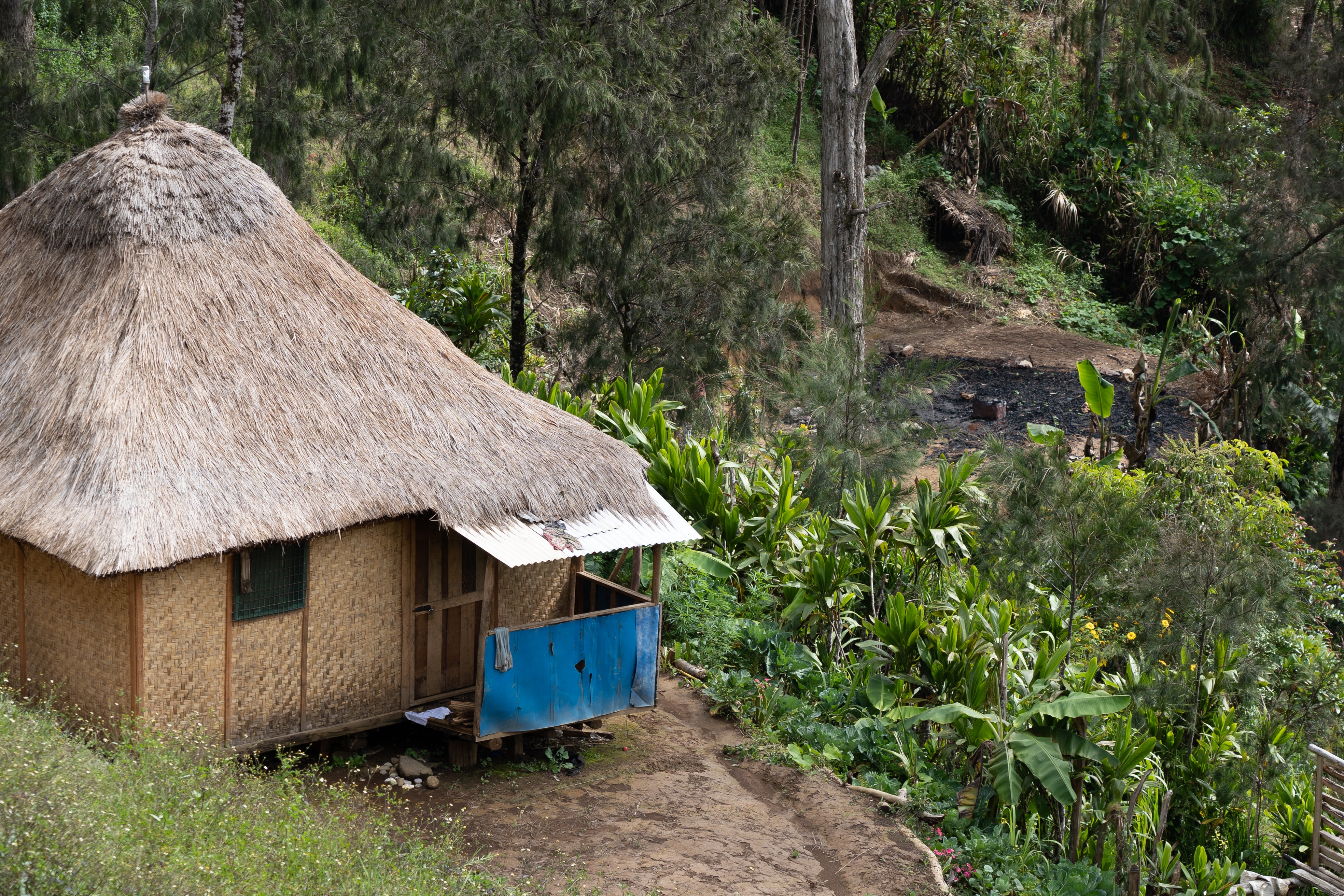 One house burnt down and one spared outside Tole