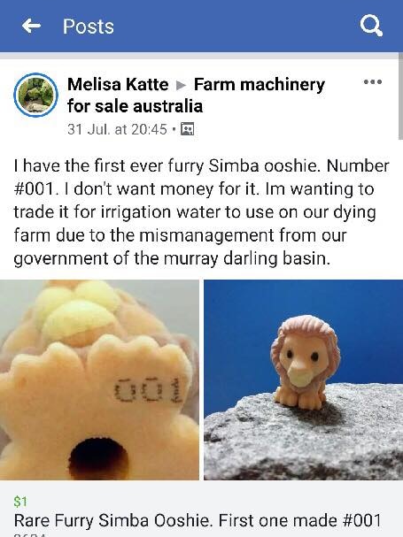 Melissa posted the Ooshie to Facebook to try and sell it in exchange for water