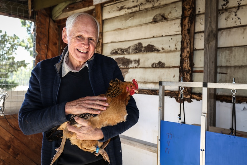 Eugene Meegan at home in Heathcote with his Quamby and trap nests.