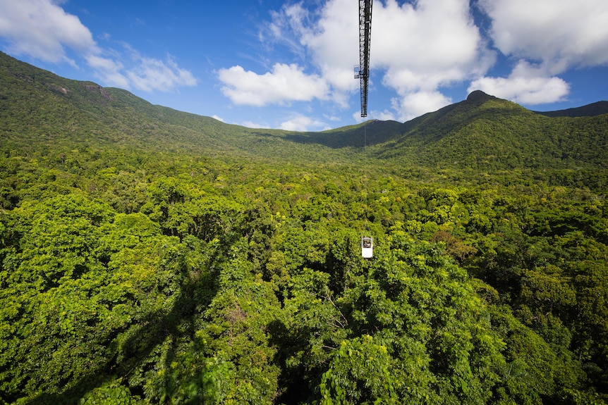 Canopy crane gondola above rainforest