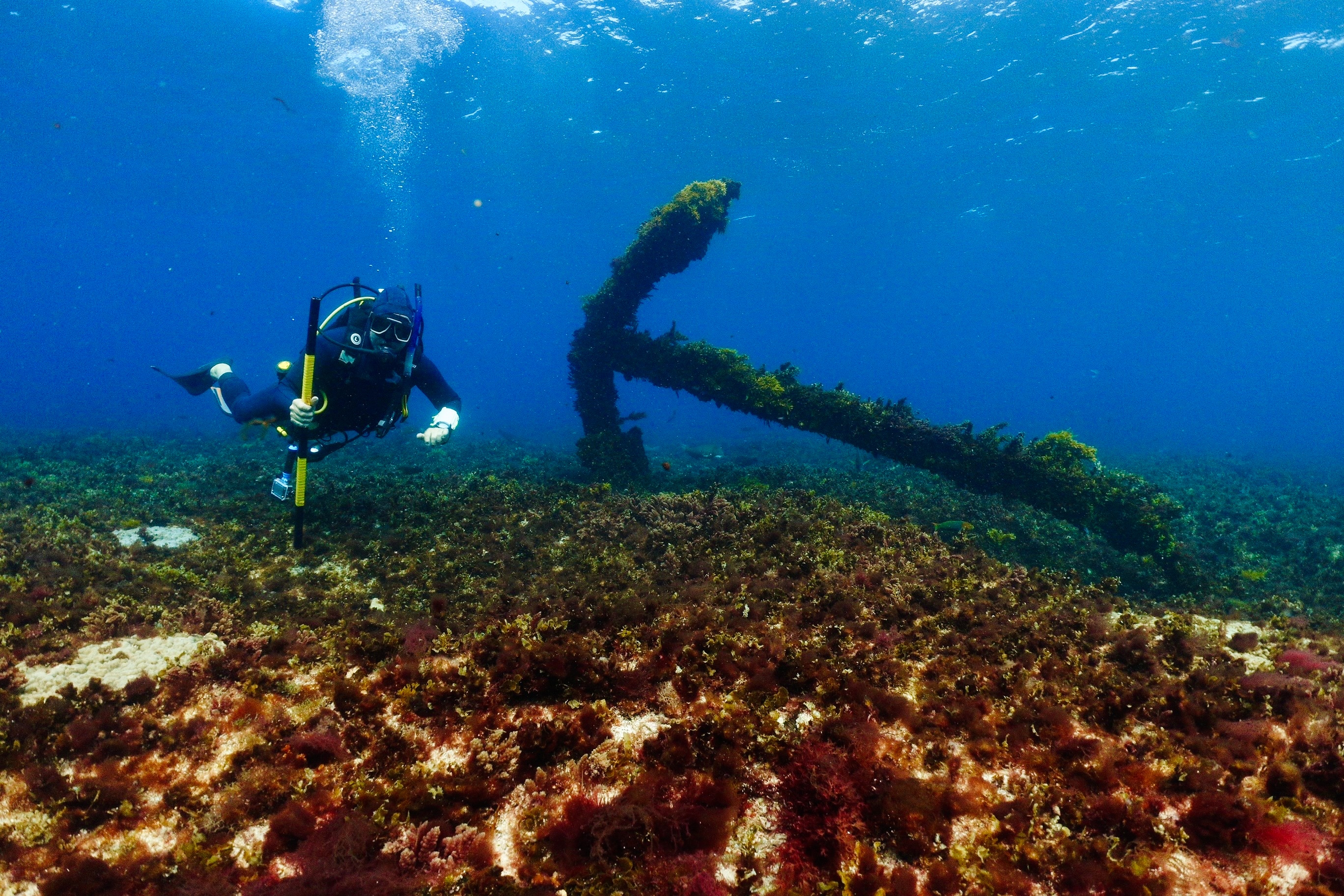 An underwater shot of a man in scuba gear swimming near a large anchor.
