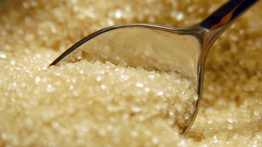 A spoon sits in a bowl of raw sugar