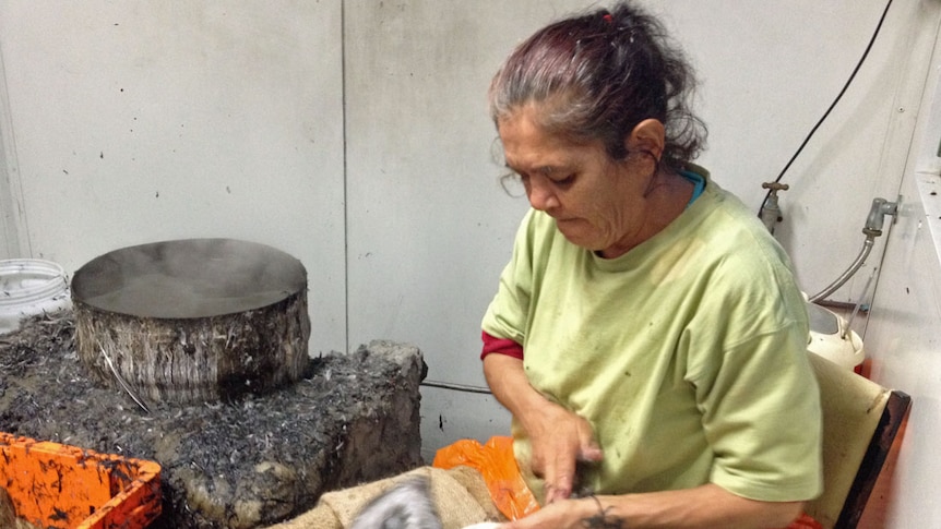 Vanessa Mansell brushing a bird on her lap and removing all the remaining feathers from its body.