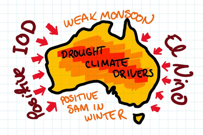 AUS with positive IOD to west, El Nino to east, Weak monsoon north and positive SAM in winter south.