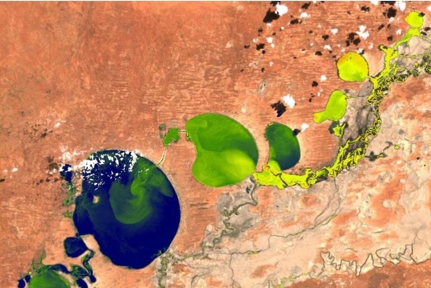 satellite image of a blue-green algae in a lake system