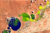 satellite image of a blue-green algae in a lake system