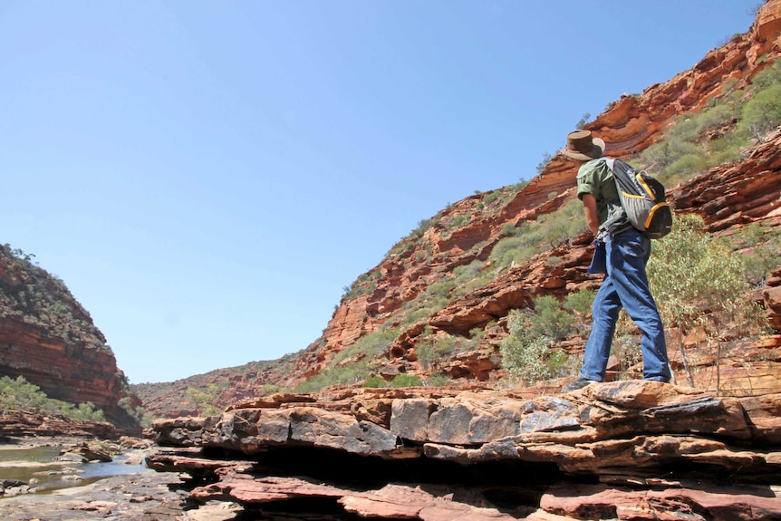 Corin Desmond searching for rock wallaby