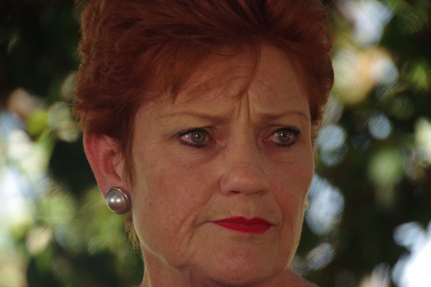 Pauline Hanson talks to journalists in Perth
