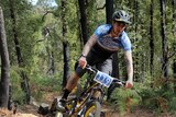 phot of man wearing helmet on a mountain bike which is airborne above a track in a forest of native Australian trees.