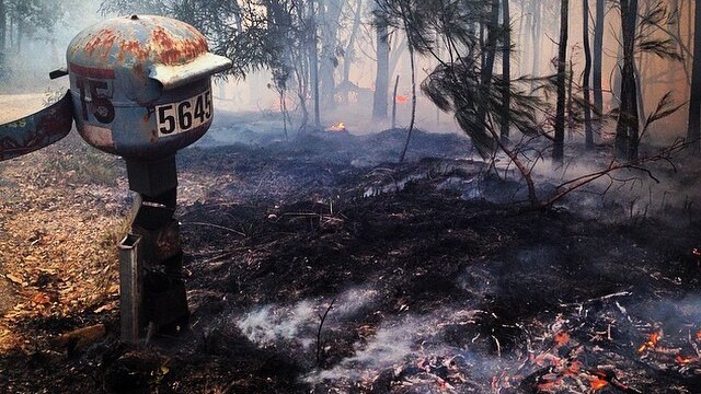 Kremnos bushfires