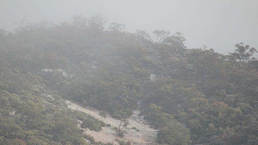 Mt Remarkable in low cloud on Friday morning