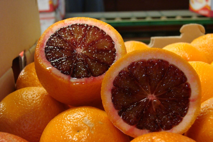 Blood oranges from the Riverina