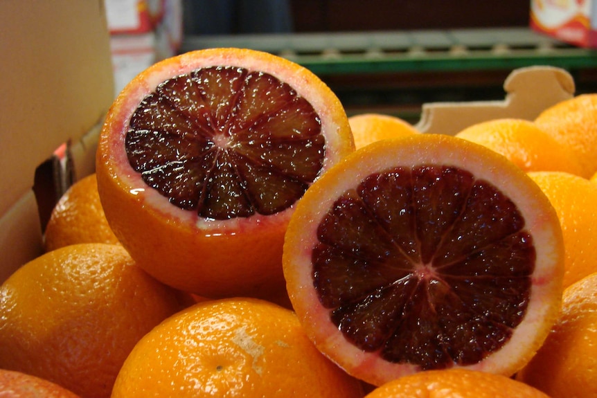 Cut blood oranges.