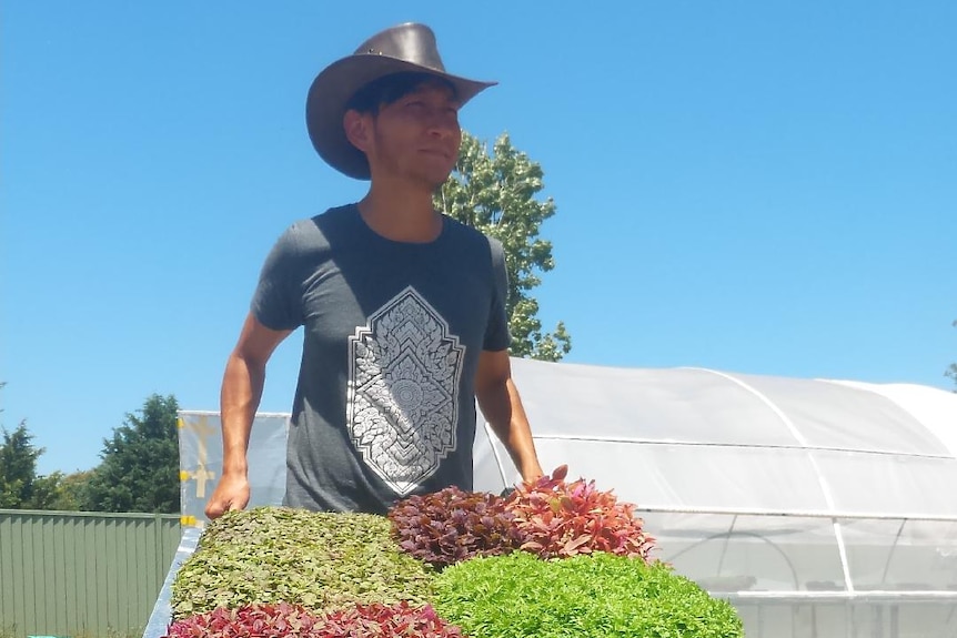 Farmer Ted Chang with punnets of microgreens he grows in compostable punnets, an easy edible garden project for small spaces.