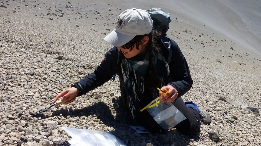 Dr Janine Krippner is collecting samples on a steep flank at Mono Domes, California.