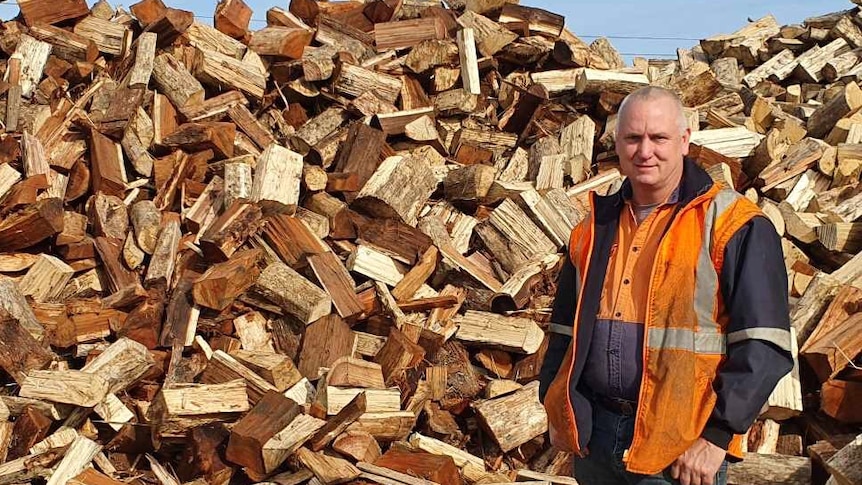 Paul Edwards standing in front of logs.