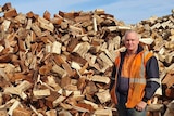 Paul Edwards standing in front of logs.