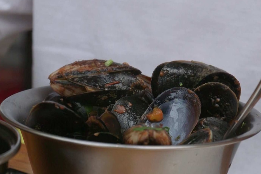 A close-up photo of a bowl of cooked mussels.