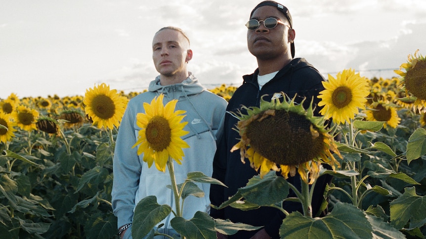 Two males standing in a sunflower field; one wearing grey Nike hoodie, one wearing black Nike hoodie