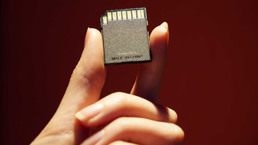 A woman holds an SD card in her fingers