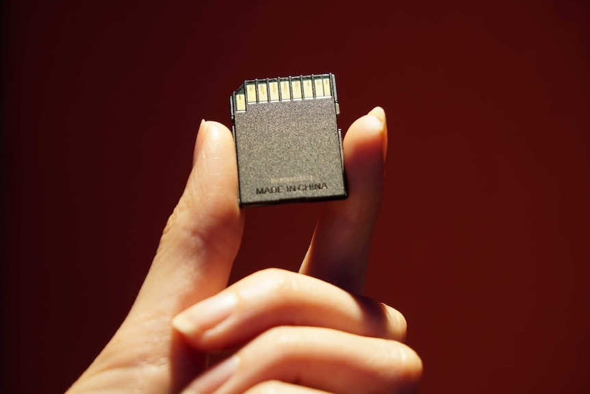 A woman holds an SD card in her fingers