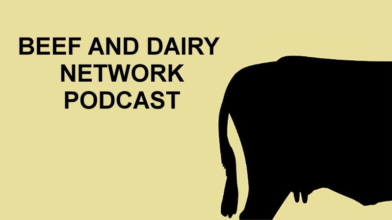 Beef and Dairy Network Podcast