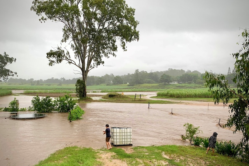 two small children play and the rain in front of flooded paddocks