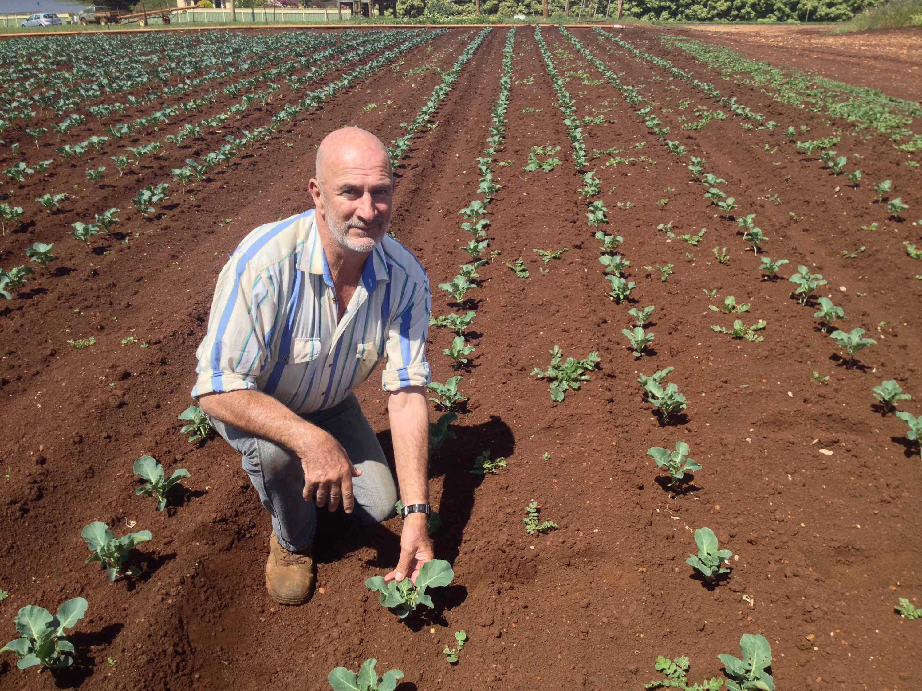 Two stalwarts of the poppy industry have retired from the poppy ...