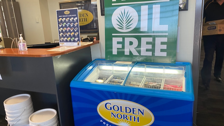 Golden North's ice cream freezer at Adelaide Zoo. 