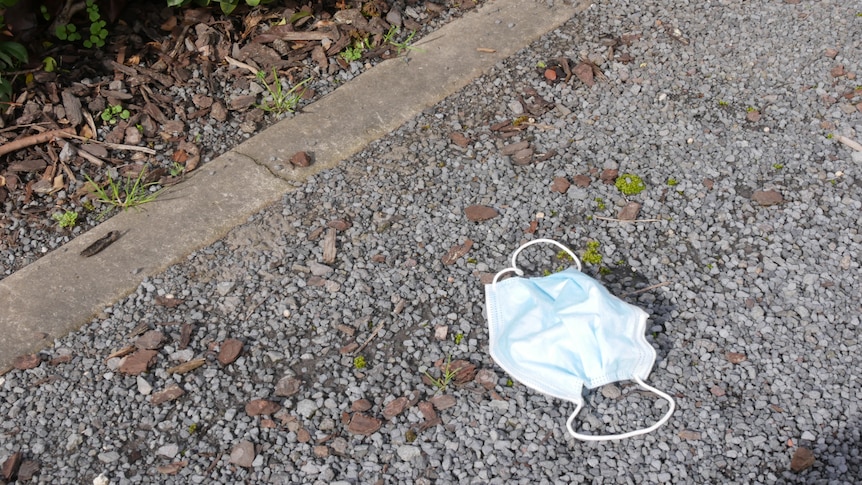 A blue and white disposable face mask is disposed of by a roadside