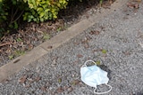 A blue and white disposable face mask is disposed of by a roadside