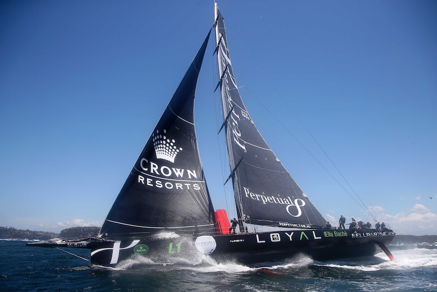 Perpetual Loyal goes through the Sydney Heads