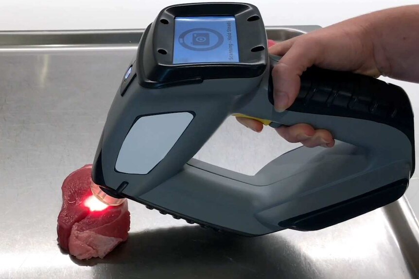 A large handheld camera scanner shines a light into the middle of a steak.
