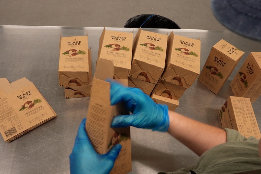 A person's gloved hands folding the top of a small cardboard box.