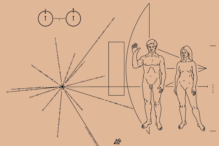 The gold plaque from Pioneer space probe depicting hydrogen atoms and illustrations of a naked man and woman