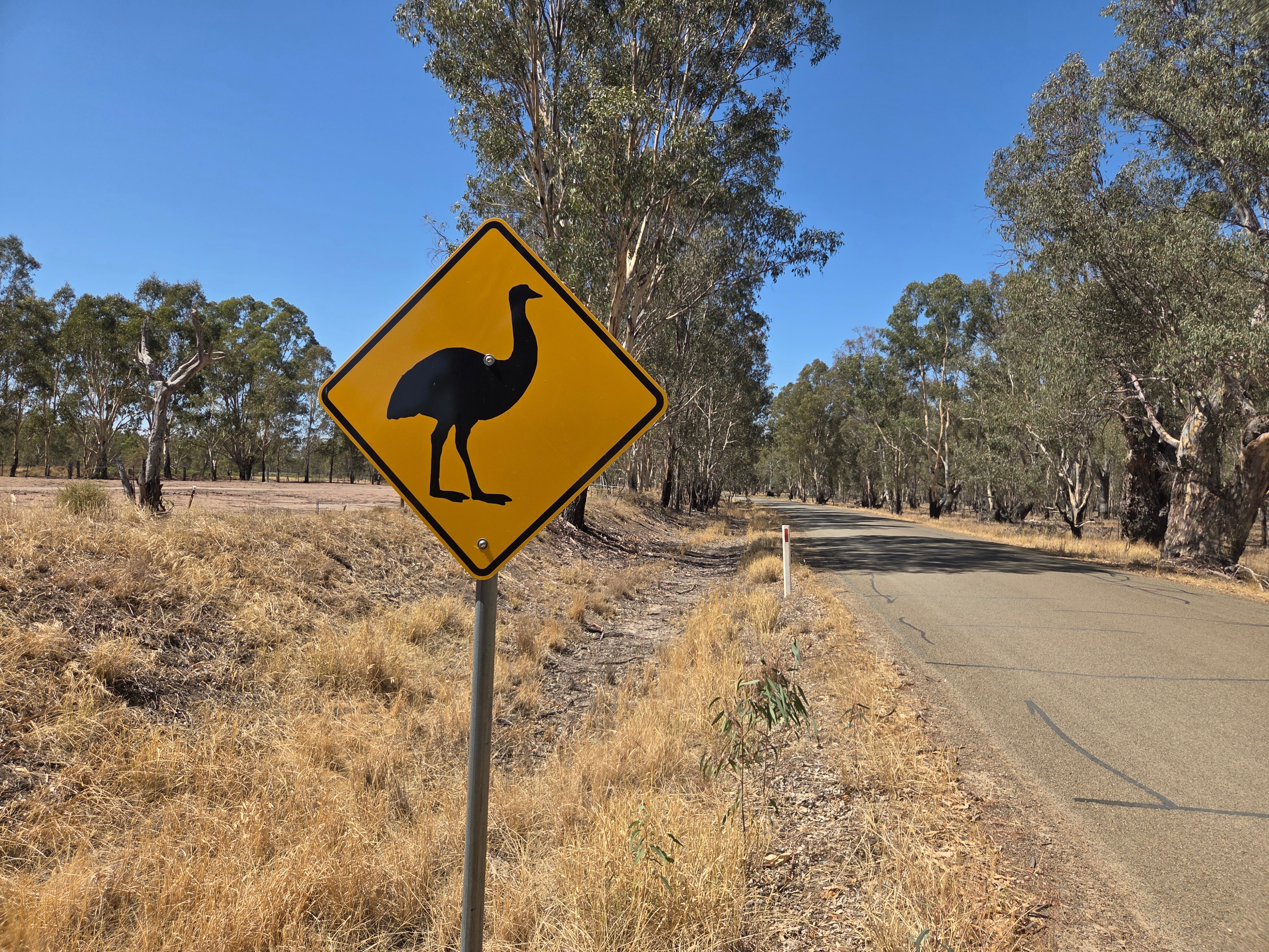 An emu roadsign