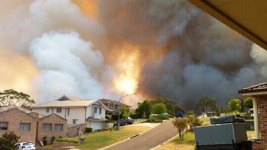 Bushfire burning on suburban street