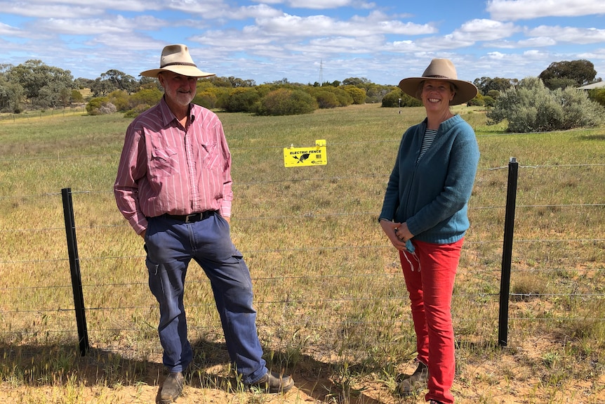 Phil and Fiona Murdoch stand near the electric fence that was installed on their property back in 2014. 
