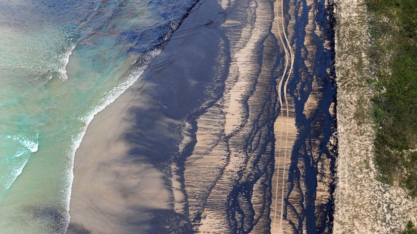 Oily wasteland: The spill is blanketing the once pristine south-east Queensland coastline.