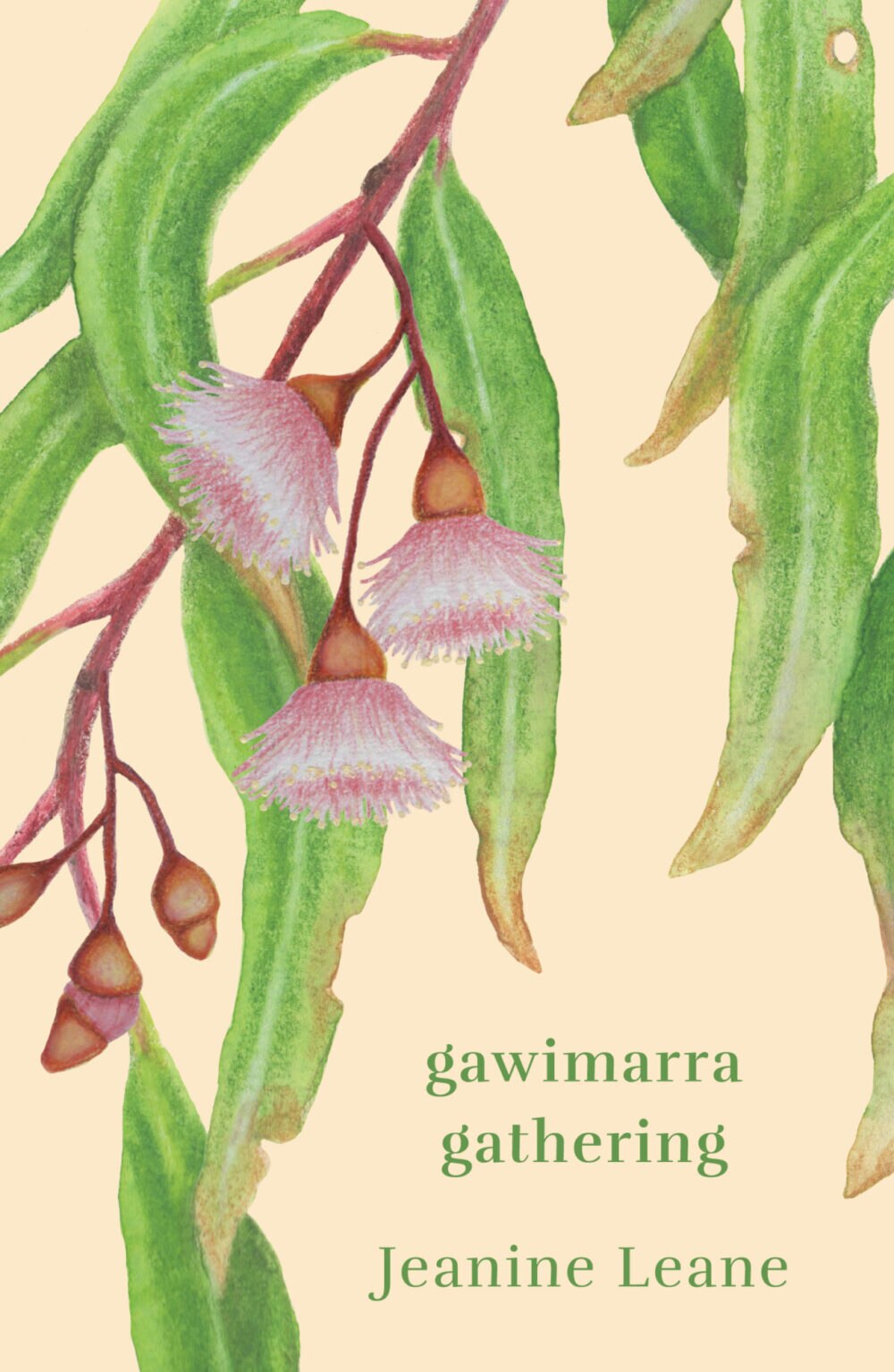 A book cover showing an illustration of hanging green gum leaves and three pink blossoms