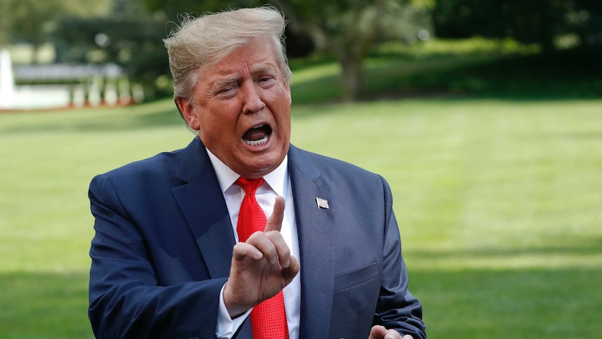 Donald Trump speaking to reporters on the White House lawn.