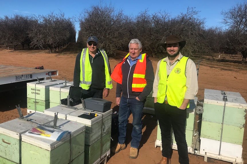 Max Cane, Ian Cane and Joel Kuperholz are wearing hi vis vests and standing among some bee hives.