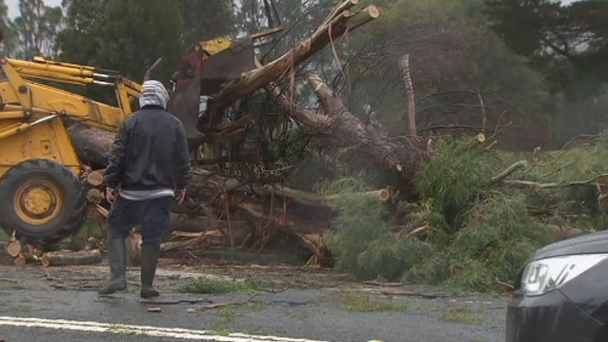 Widespread damage as Tasmania cops wild weather