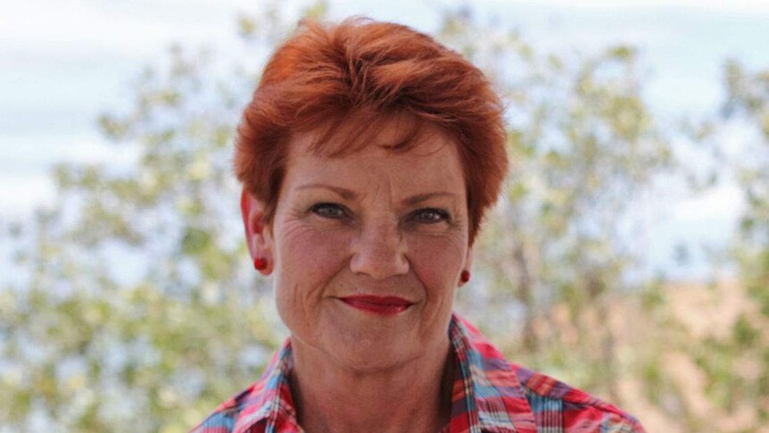 One Nation leader Pauline Hanson.