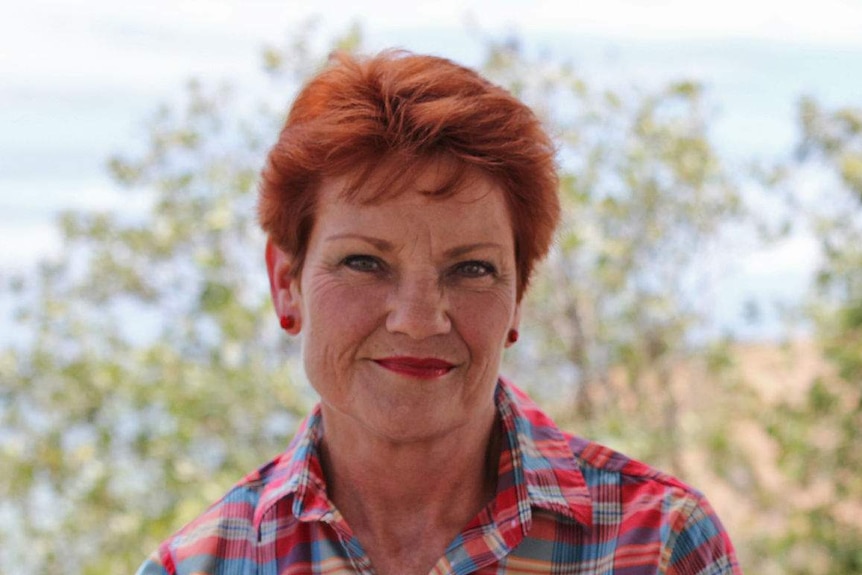 One Nation leader Pauline Hanson.